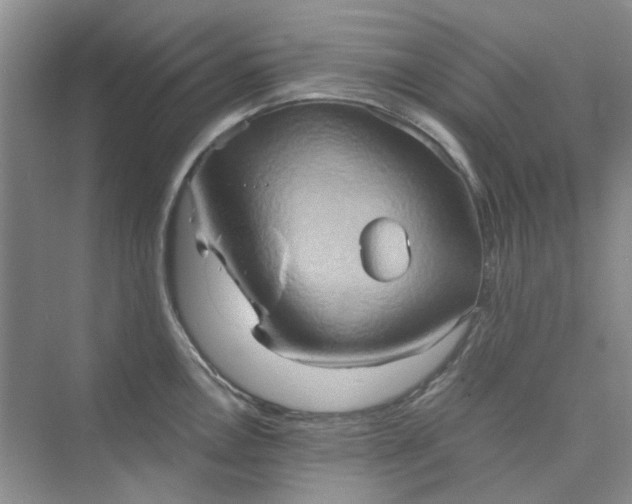 X0000075891146200609291659