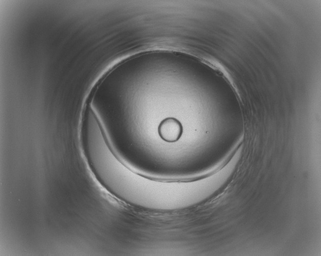 X0000075891147200609291659