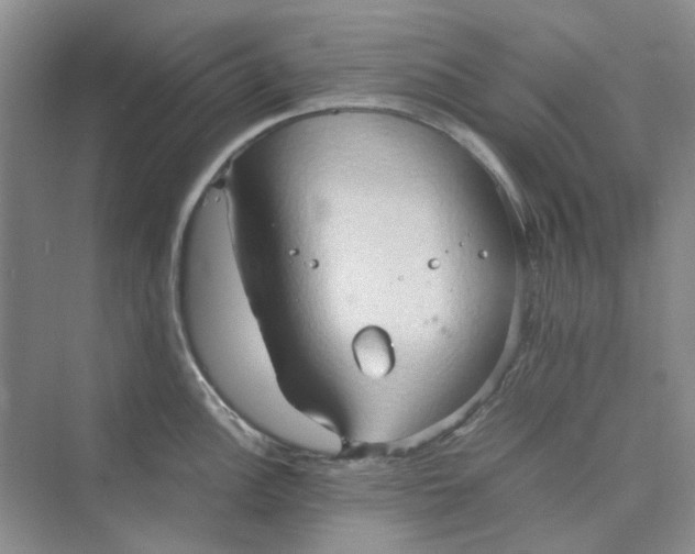 X0000075891148200609291659