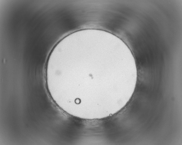 X0000075891150200609291659