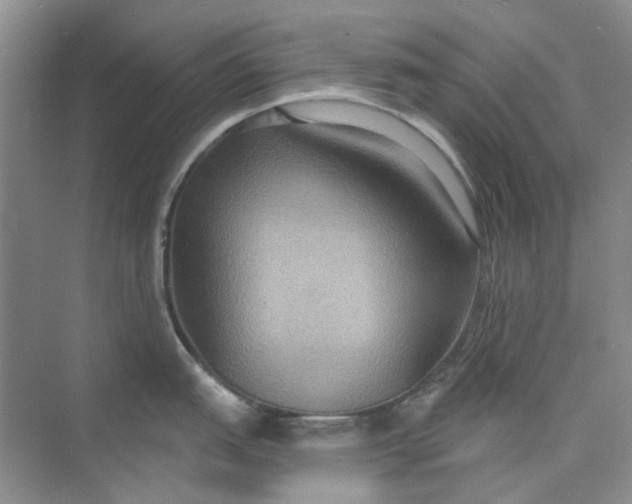 X0000075891151200609291659