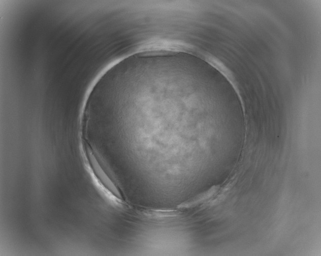 X0000075891152200609291659