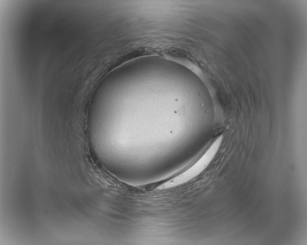 X0000075891153200609291658