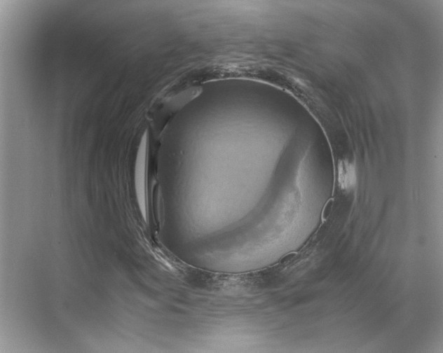 X0000075891155200609291658