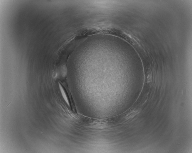 X0000075891156200609291658