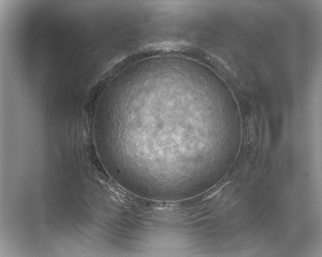 X0000075891158200609291658