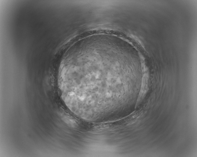 X0000075891159200609291658