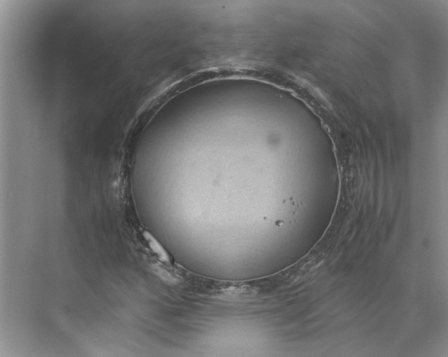 X0000075891160200609291658