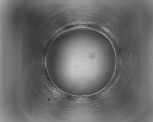 X0000075891161200609291658