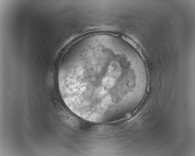 X0000075891163200609291658