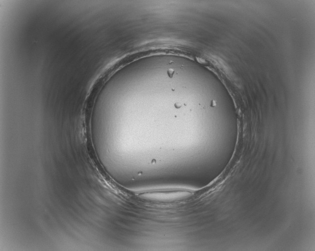 X0000075891164200609291658