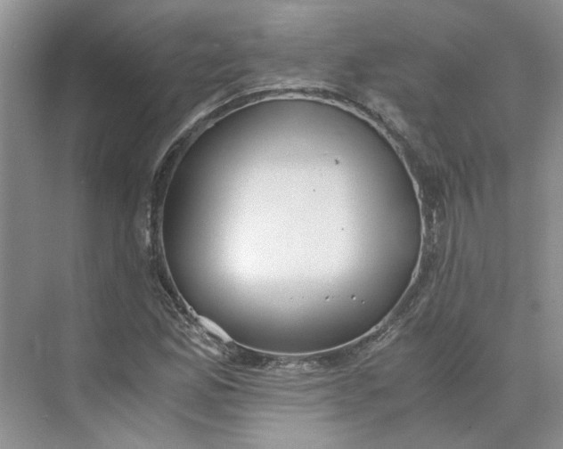 X0000075891165200609291658