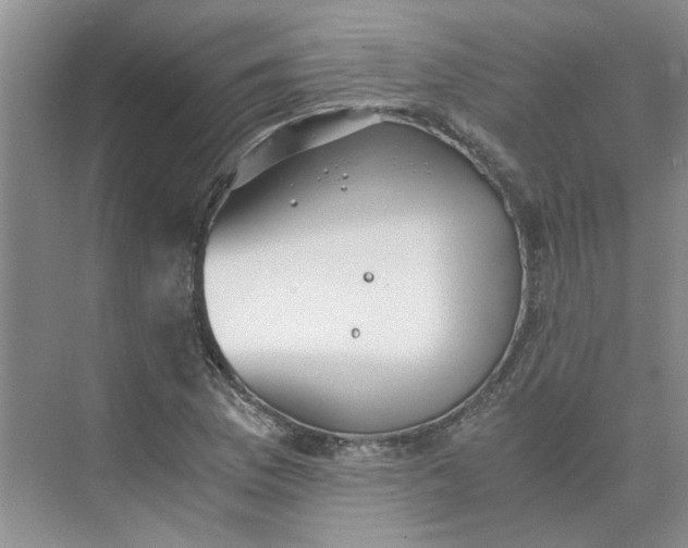 X0000075891169200609291658