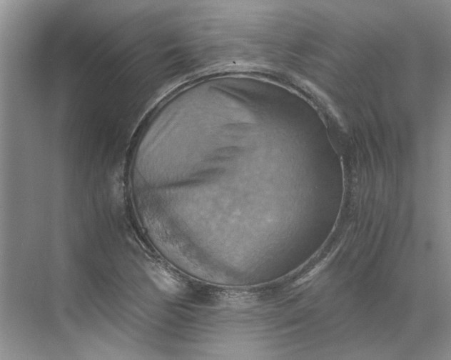 X0000075891170200609291658