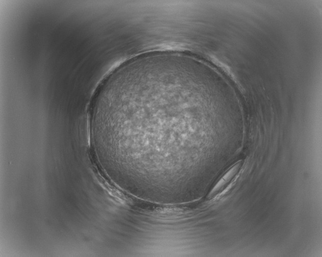 X0000075891171200609291658