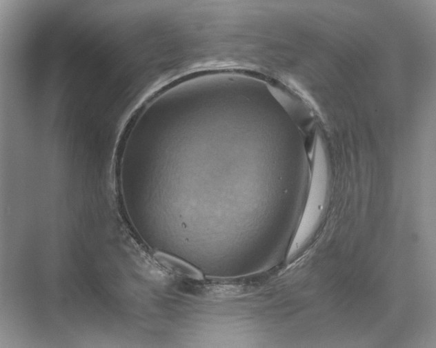 X0000075891173200609291658