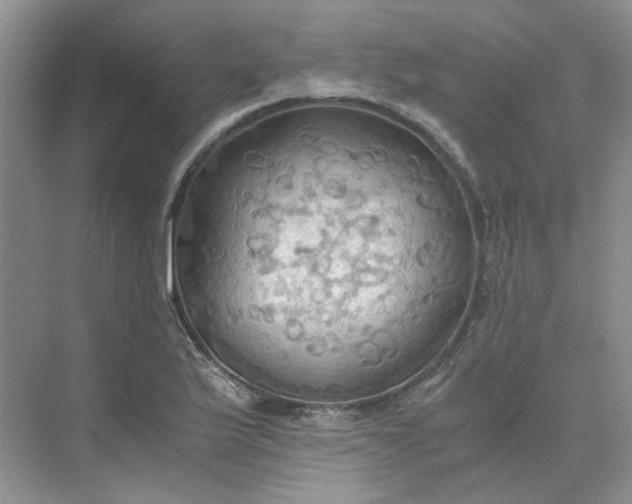 X0000075891175200609291658