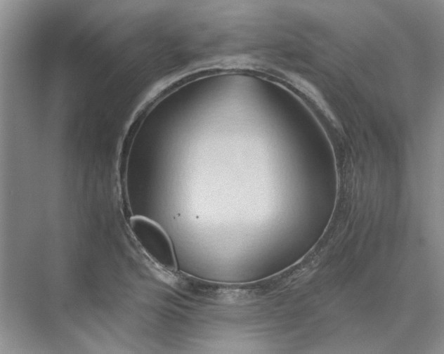 X0000075891176200609291658