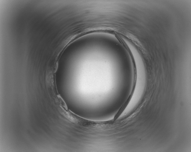 X0000075891177200609291658