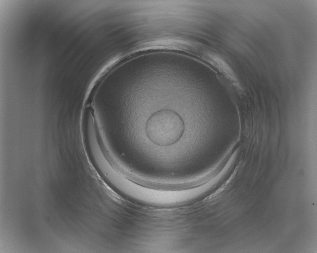 X0000075891180200609291658