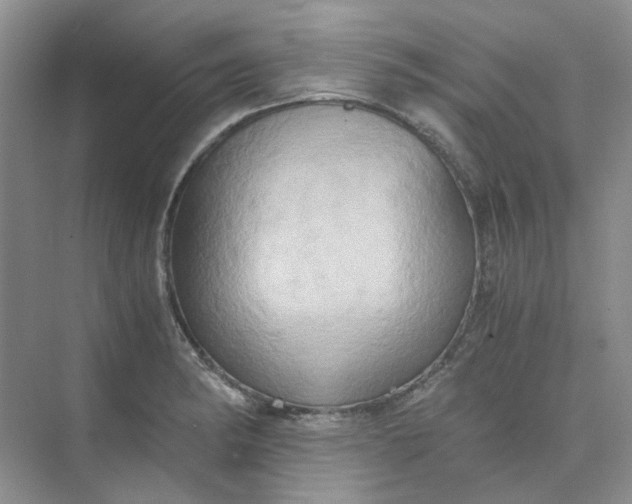 X0000075891182200609291658