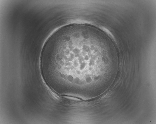 X0000075891183200609291658