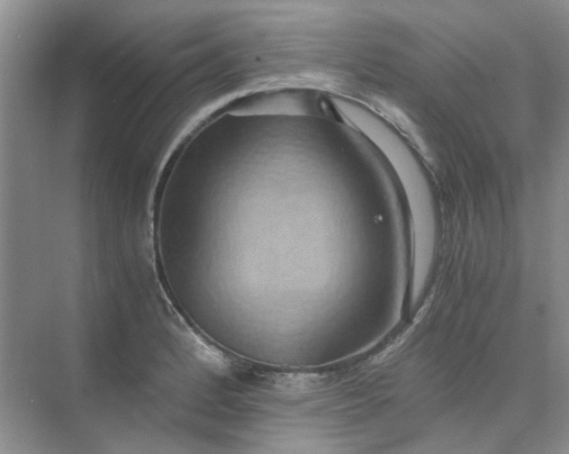 X0000075891184200609291658