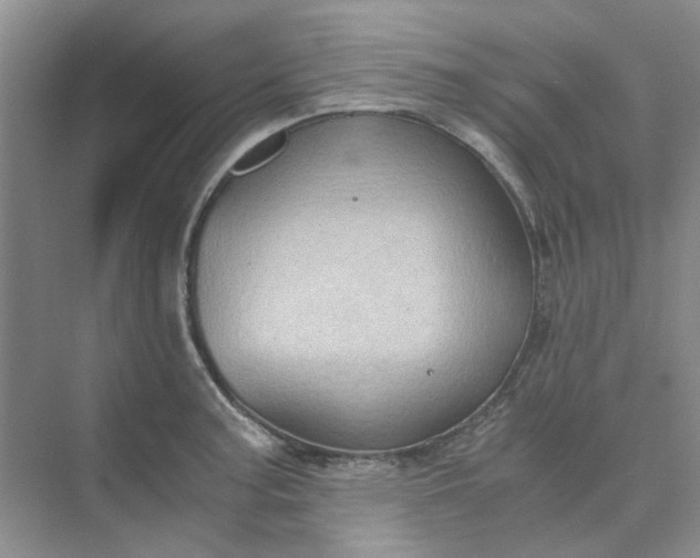 X0000075891187200609291658