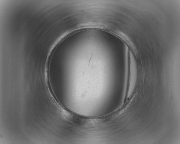 X0000075891188200609291658