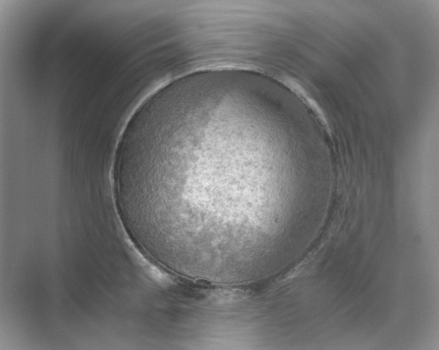 X0000075891189200609291658