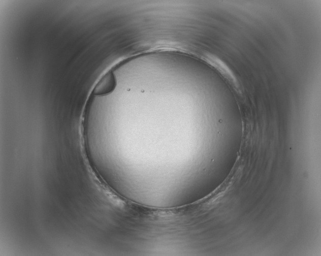 X0000075891190200609291658