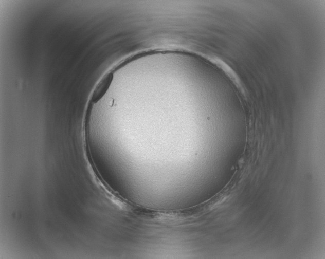 X0000075891191200609291658