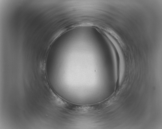 X0000075891193200609291658