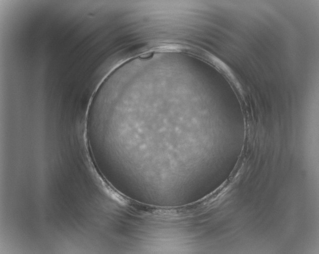 X0000075891194200609291658