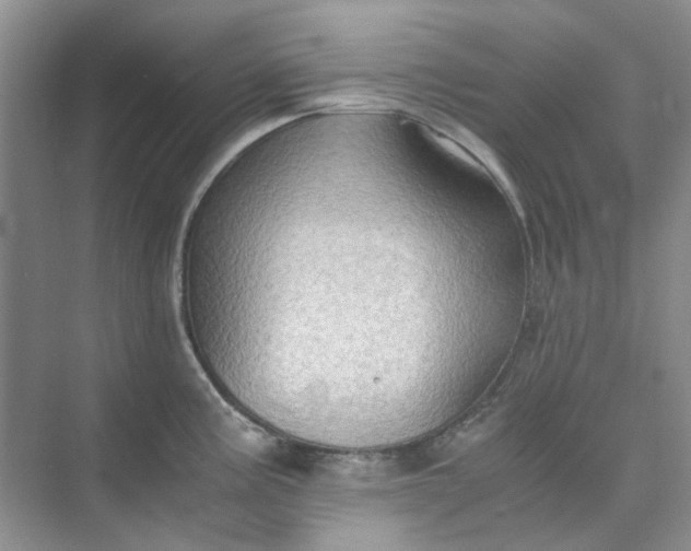 X0000075891195200609291658