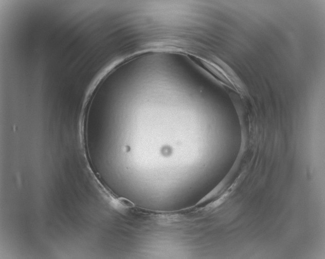 X0000075891196200609291658