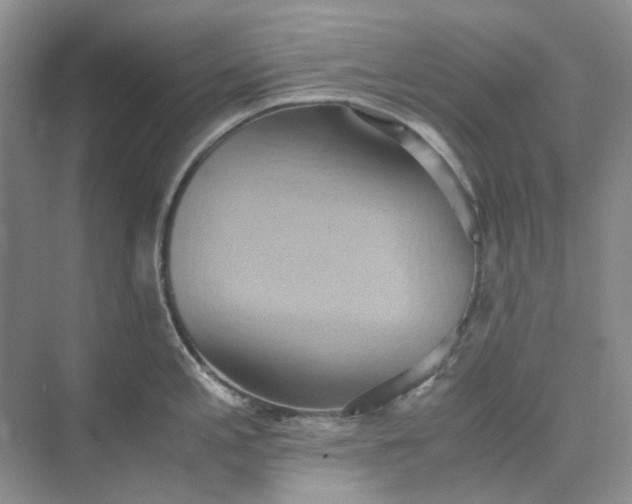 X0000075891197200609291658