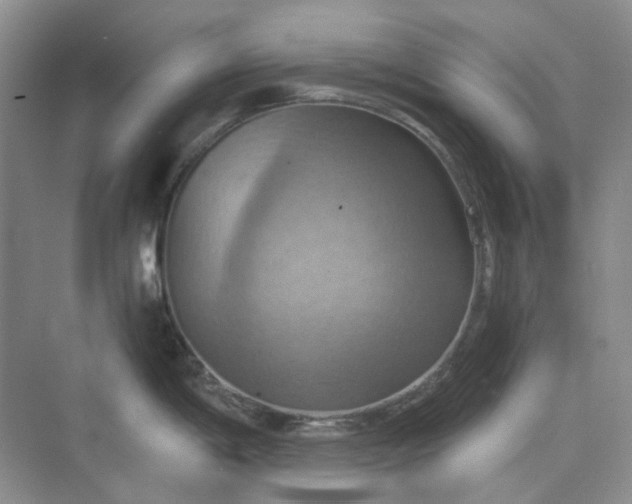 X0000075891198200609291658