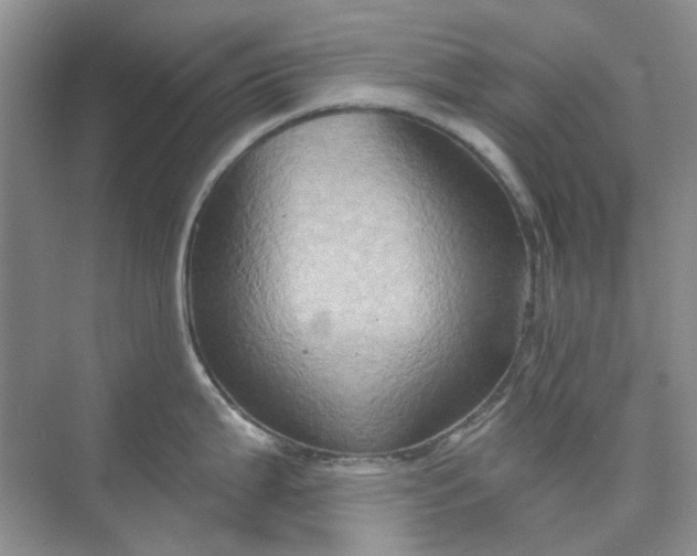 X0000075891199200609291657