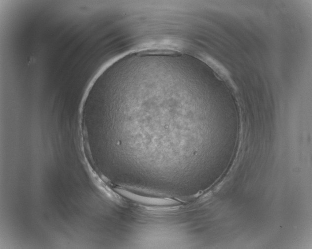 X0000075891200200609291657