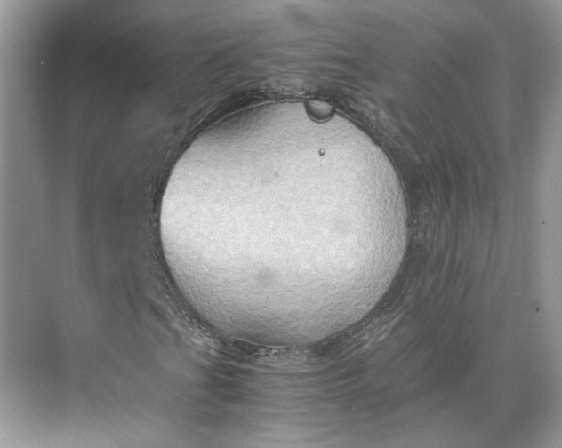 X0000075891201200609291657