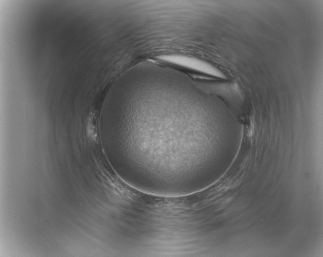 X0000075891202200609291657