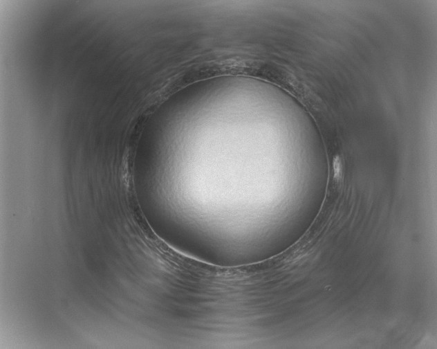 X0000075891203200609291657