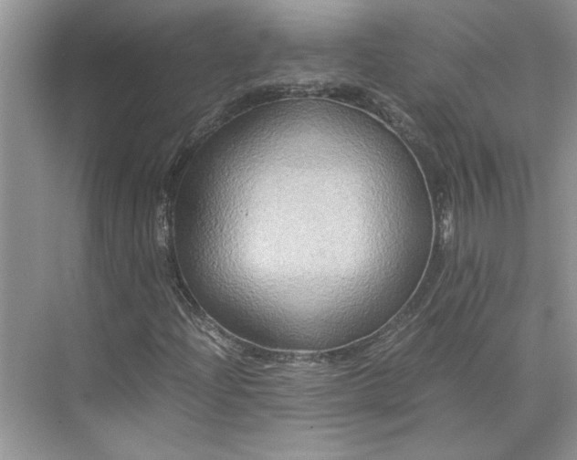 X0000075891204200609291657