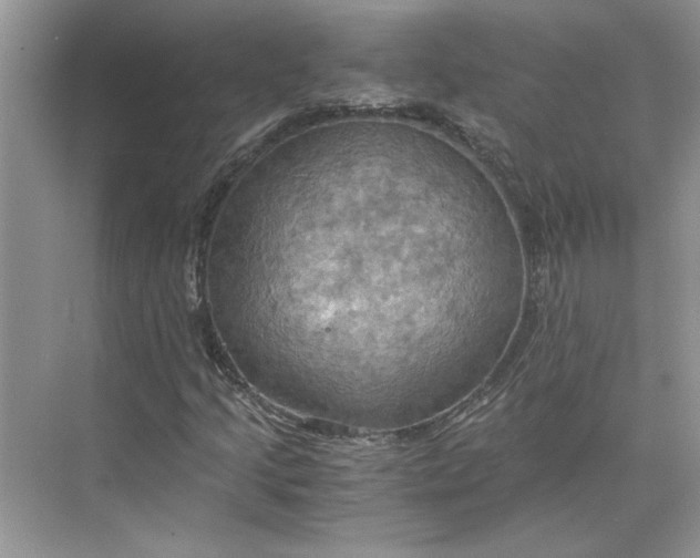 X0000075891205200609291657