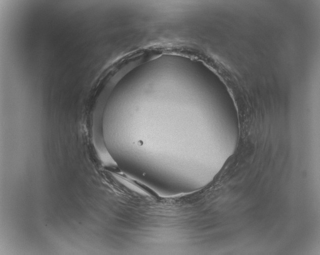 X0000075891206200609291657