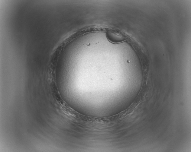 X0000075891207200609291657