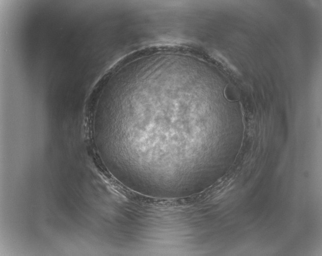 X0000075891208200609291657