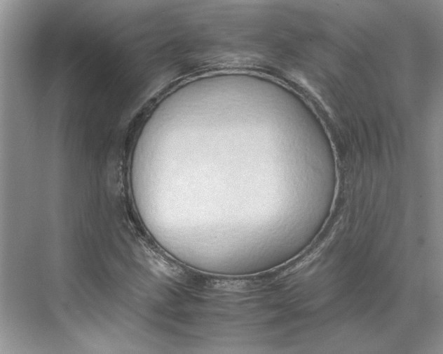 X0000075891211200609291657