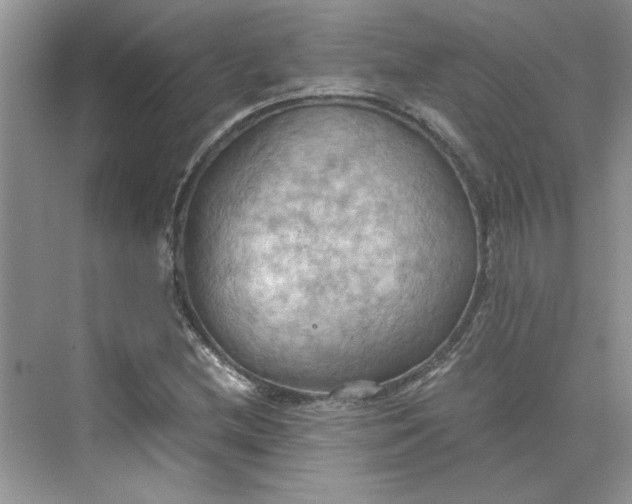 X0000075891212200609291657